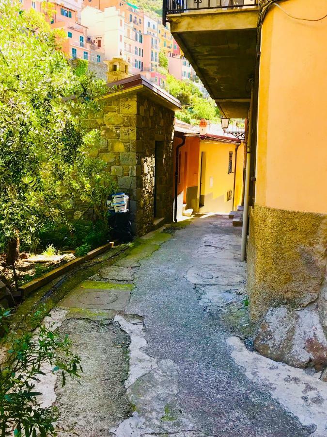 Villa La Chiocciola Manarola Exterior foto